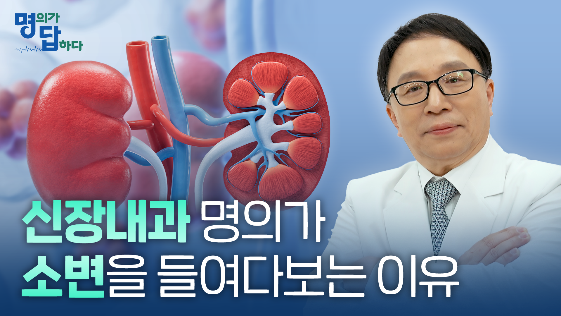 [의학전문 채널 명답] 의학전문 채널 콘텐츠 「명의가 답하다」